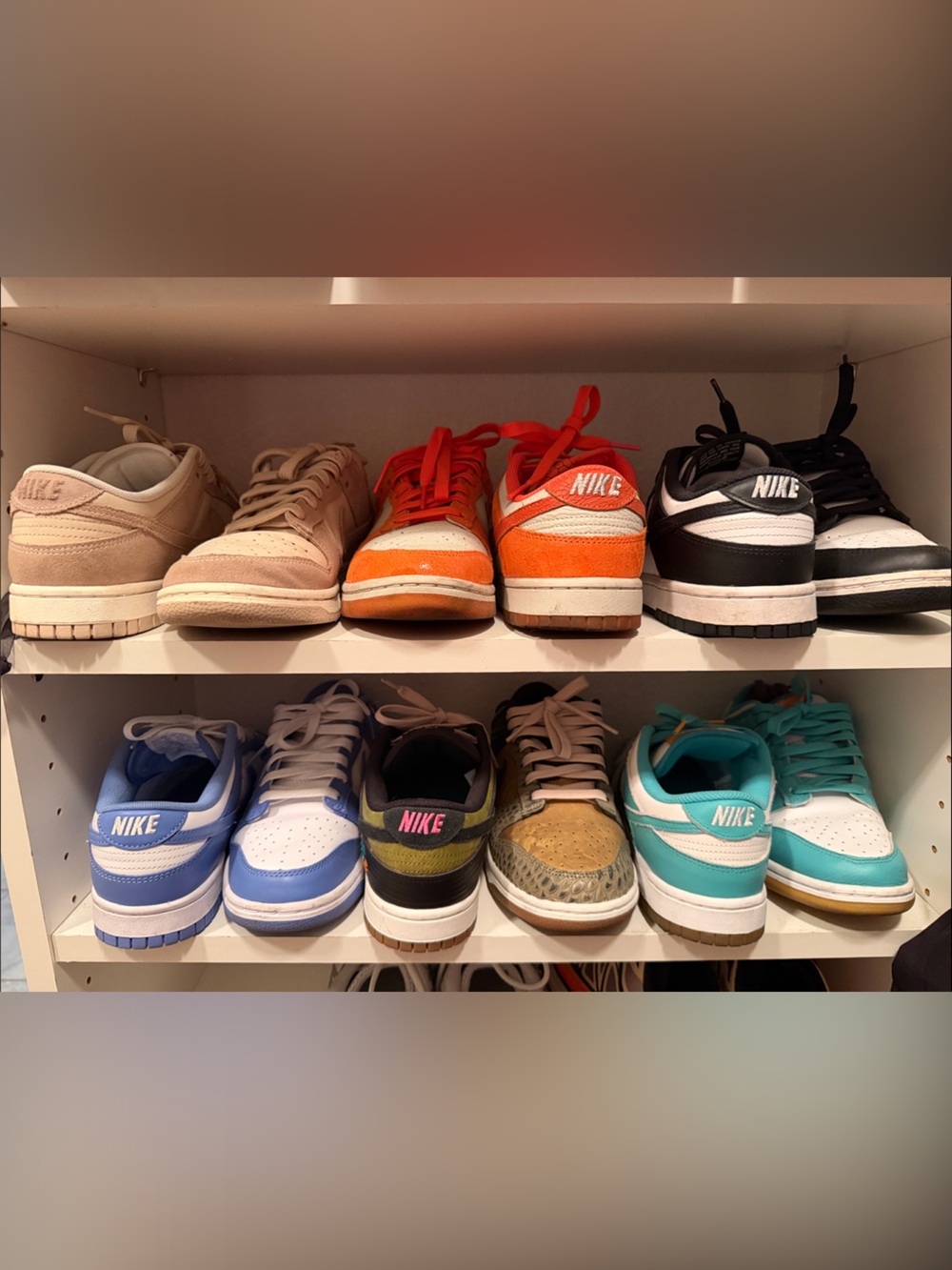 Nike dunk Sneakers — Teal, Light Blue, Orange, Black, Tan Options